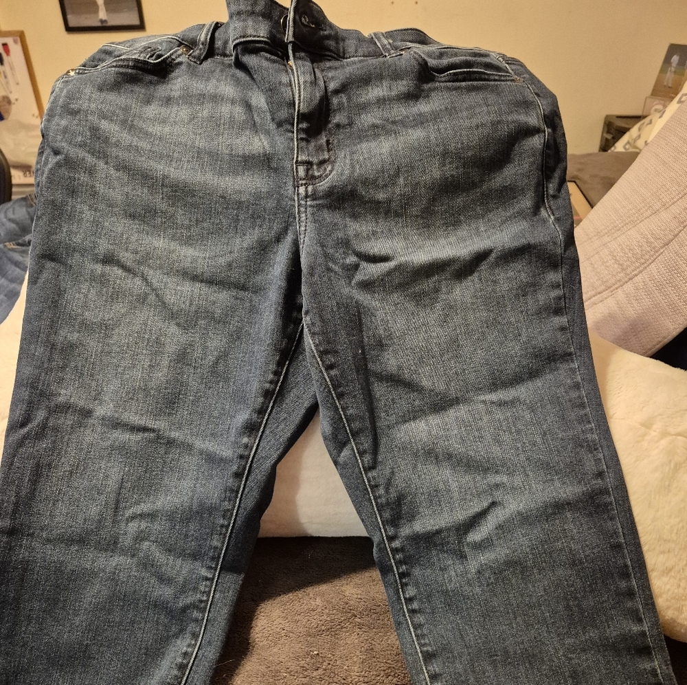 Lane Bryant Dark Blue Denim Jeans